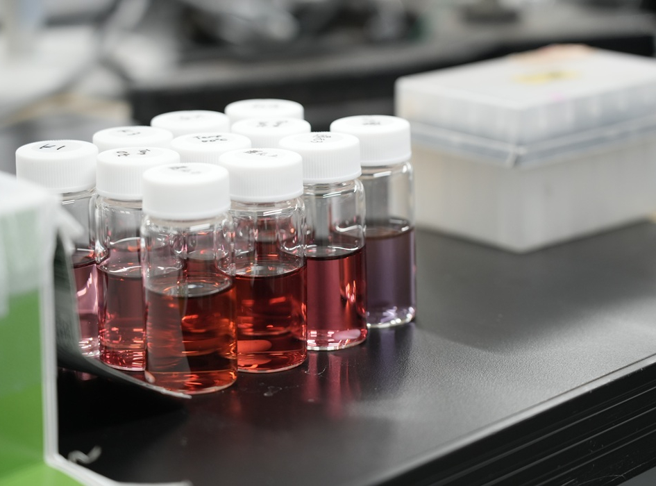 会員向け講演会と研究室見学を開催しました。