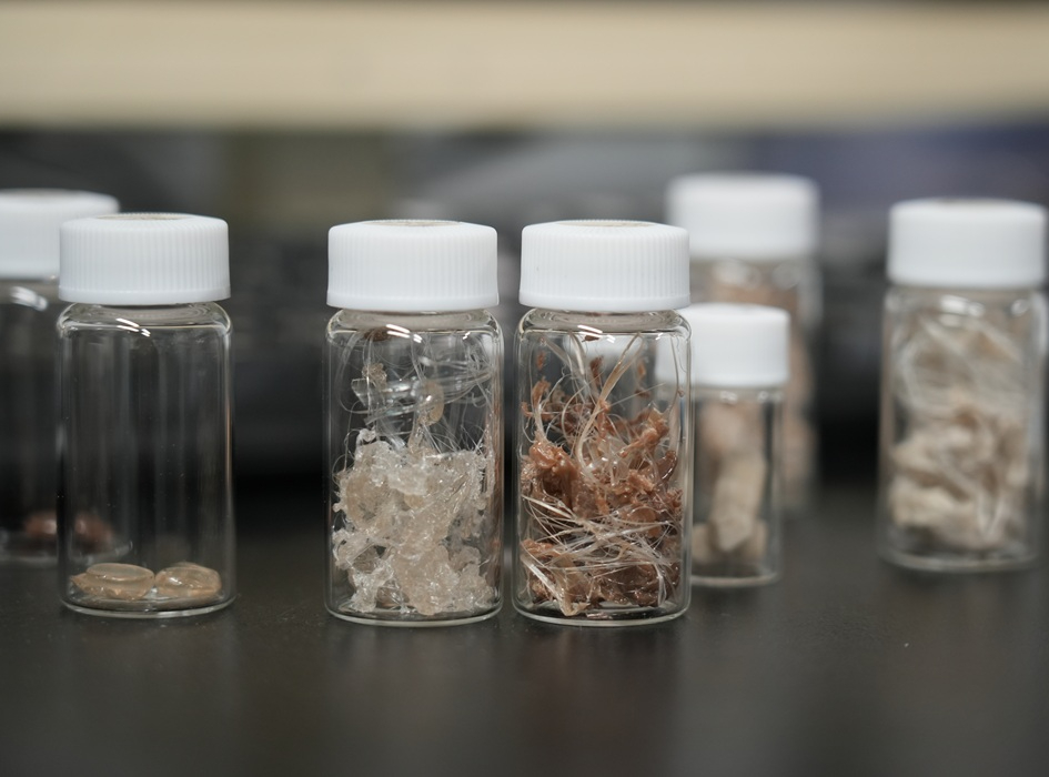 会員向け講演会と研究室見学を開催しました。